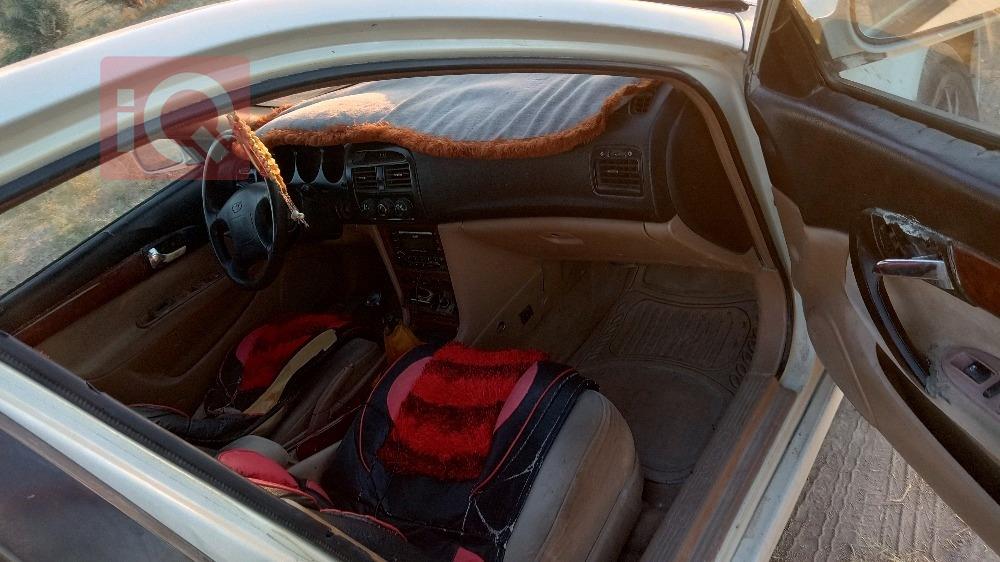 دايو ماغنوس